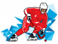 28-29 января. Чемпионат Амурской области по хоккею с мячом среди мужчин (дисциплина: ринк-бенди)