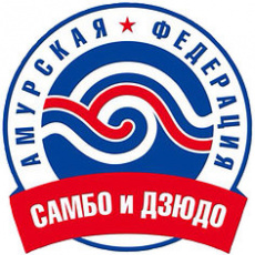 09 - 11 ноября. Чемпионат и первенство Амурской области по самбо