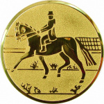 18 октября. Открытый чемпионат и первенство Амурской области по конному спорту, среди юношей и девушек 2008 г.р., мужчин и женщин.