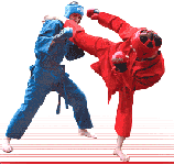 12-14 января. Чемпионат Амурской области по рукопашному бою среди мужчин и женщин 18 лет и старше