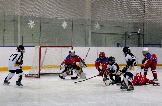 IMG_7019.JPG