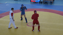 В спорткомлексе АмГУ прошли чемпионат и первенство Амурской области по спортивному и боевому самбо