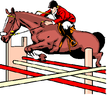 30 мая. Чемпионат и первенство Амурской области по конному спорту