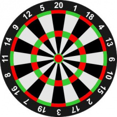 08-10 декабря. Чемпионат и первенство Амурской области по дартсу