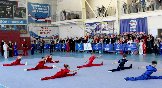 IMG_8772.JPG