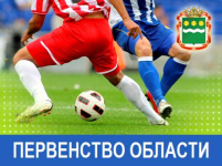 Первенство Амурской области по футболу среди юношей 2014-2015 гг.р.