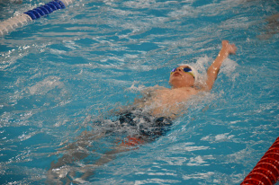 Девять «кандидатов» и четыре десятка перворазрядников: федерация плавания Амурской области доложила о развитии своего вида спорта 
