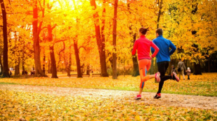 Амурчан приглашают на «Прогулку с врачом»