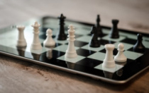 В Приамурье пройдет онлайн-турнир по быстрым шахматам среди школьников «Кубок Петройла»