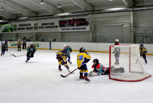 Первенство Амурской области по хоккею среди юношей 2003-2005 гг.р. и 2006-2008 гг.р.