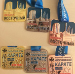 «Космические» медали привлекли рекордное количество участников на турнир по киокушинкай карате