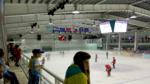 Областные массовые соревнования юных хоккеистов клуба "Золотая шайба" имени А.В. Тарасова в сезоне 2017-2018 г.г.