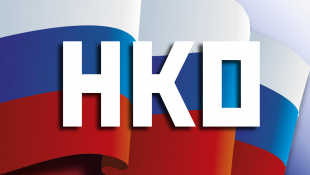 СО НКО Амурской области. Социальный проект «От практики – к действию»