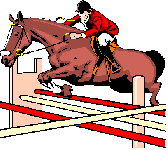 Открытый чемпионат и первенство Амурской области по конному спорту