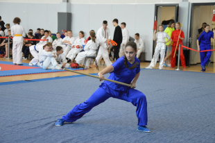Свыше тысячи спортсменов выступили на открытых Юношеских играх боевых искусств Амурской области