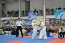 Зрелищные поединки прошли в рамках первенства и чемпионата области по киокусинкай каратэ.