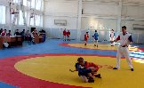 IMG_9281.JPG