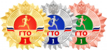 Зимний фестиваль ВФСК ГТО среди всех категорий населения Амурской области