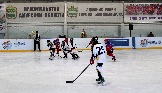 IMG_7010.JPG