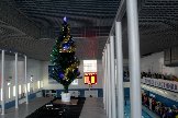 IMG_6040.JPG