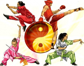 04 мая. Открытый региональный турнир по ушу памяти Героя России старшего сержанта милиции Артура Волошина (спортивная дисциплина - саньда)