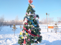В День рождения Деда Мороза в Белогорске стартовал конкурс творческих работ «Ёлка ГТО»