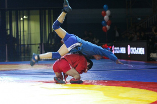 Амурские самбисты выступят на первенстве России