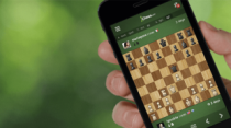 Первый областной онлайн-турнир по быстрым шахматам среди школьников пройдет в Приамурье