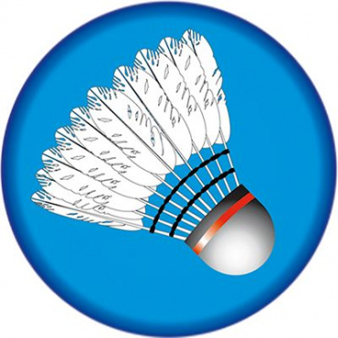 21-22 марта. Чемпионат и первенство Амурской области по бадминтону