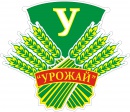 10-11 мая. Сельская комплексная Спартакиада в 2024-2025 г. Футбол. Отборочный этап