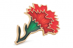 Несколько спортивных организаций областной столицы поддержали Всероссийскую благотворительную акцию «Красная гвоздика»