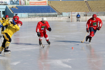 Хоккей с мячом. Турнир сборных команд районов в рамках областной сельской Спартакиады
