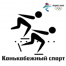 Зимняя Олимпиада: конькобежный спорт