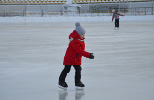 Свыше 360 физкультурных и спортивных мероприятий запланированы для амурчан на новогодних каникулах