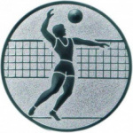 Первенство Амурской области по волейболу