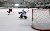 IMG_7963.jpg