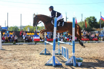 Кубок Амурской области по конному спорту