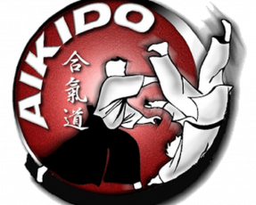 Объявление государственной аккредитации общественных организаций для наделения их статусом региональной спортивной федерации по виду спорта «айкидо»