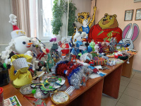 Еще более 50 новых игрушек украсят «Ёлки ГТО» на стадионе «Амурсельмаш»
