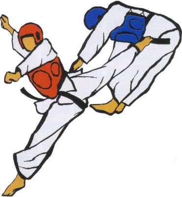 27-29 мая. Открытые юношеские игры боевых искусств Амурской области