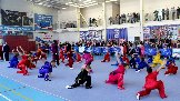 IMG_8784.JPG