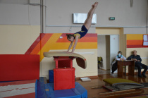 Приамурье приняло Дальневосточное первенство по спортивной гимнастике