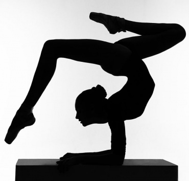 13-17 февраля. Первенство ДФО по спортивной гимнастике (отборочные на первенство России личное и командное)