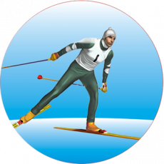 Объявление государственной аккредитации общественных организаций для наделения их статусом региональной спортивной федерации по виду спорта «лыжные гонки»