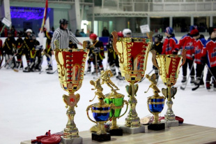 Турнир на призы клуба "Золотая шайба" имени А.В.Тарасова