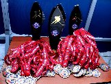 IMG_7741.JPG