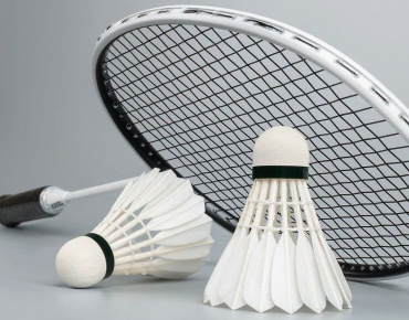 23 февраля. Чемпионат и первенство Амурской области по бадминтону среди всех групп инвалидов