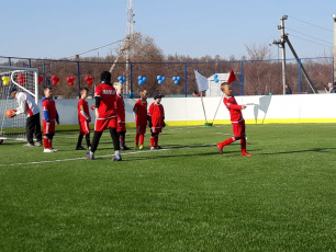 Спортивные площадки проекта «Спорт – норма жизни» пользуются популярностью среди амурчан