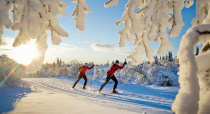 Белогорцы приглашаются сдать нормы ГТО по бегу на лыжах
