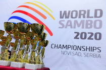 Чемпионат и первенство мира по самбо